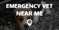 Emergency Vet Near Me image 1